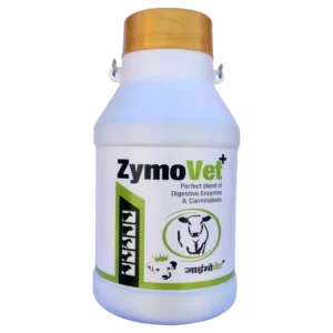 digestive enzymes for animals