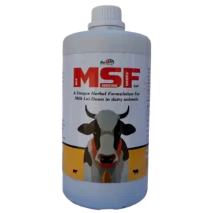 milk-squeeze-supplement-for-cow
