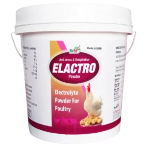 poultry vitamins and electrolytes