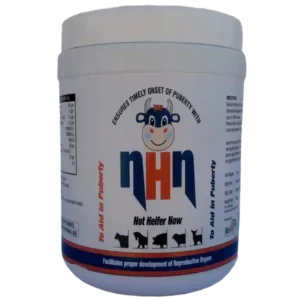 puberty-supplements-for-heifer-and-calf